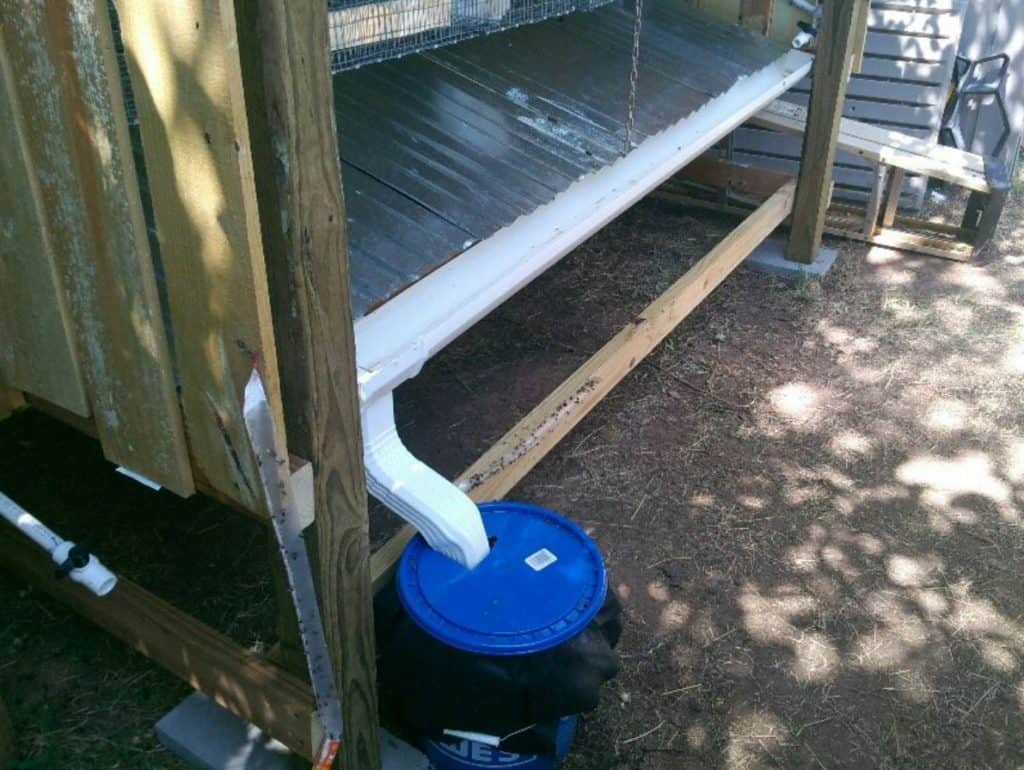 Raising Backyard Rabbits For Meat A Helpful Guide!