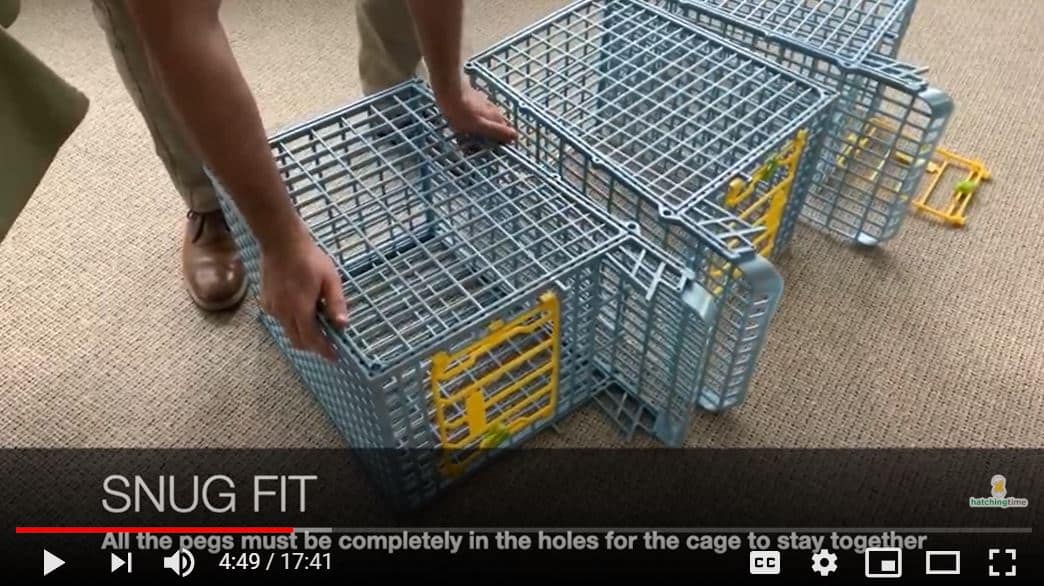 Hatching Time Quail & Partridge Cage Review