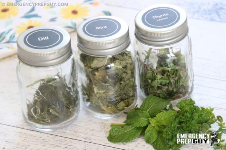 How to FreezeDry Herbs (StepbyStep With Photos)
