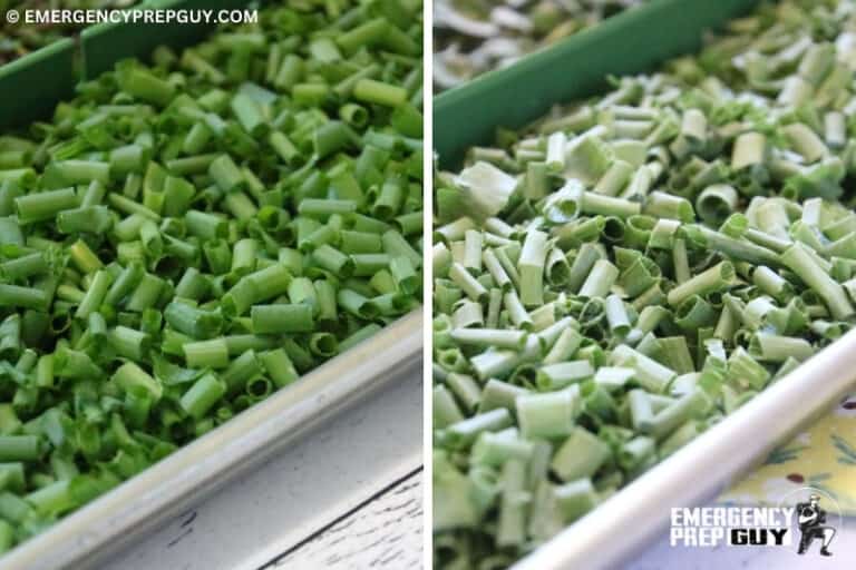 How to Freeze-Dry Herbs (Step-by-Step With Photos)