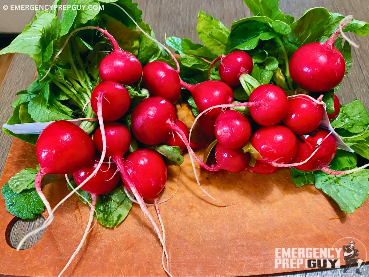 Choose Your Radish