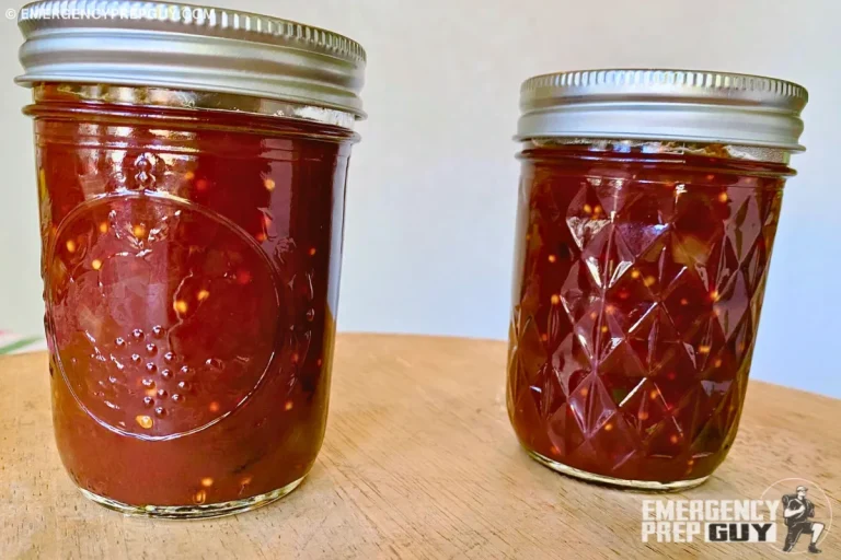 Easy Homemade Delicious Spicy Plum Sauce Recipe