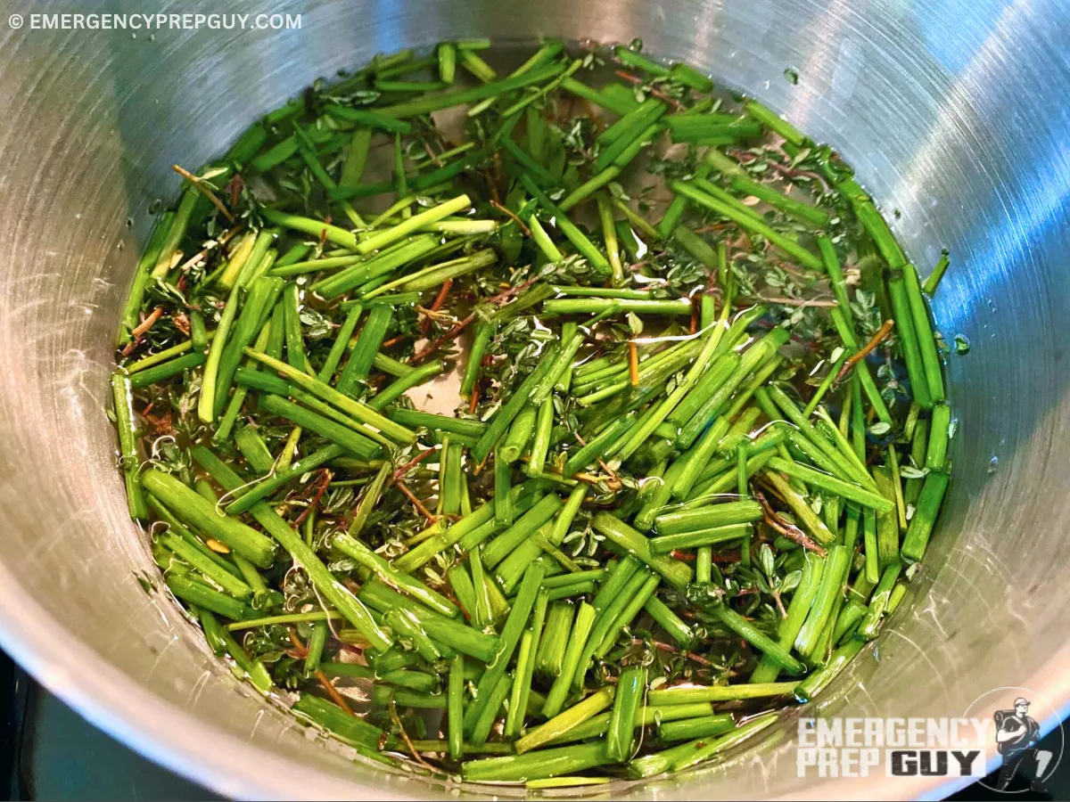 Herbs soaking in pinot gris wine