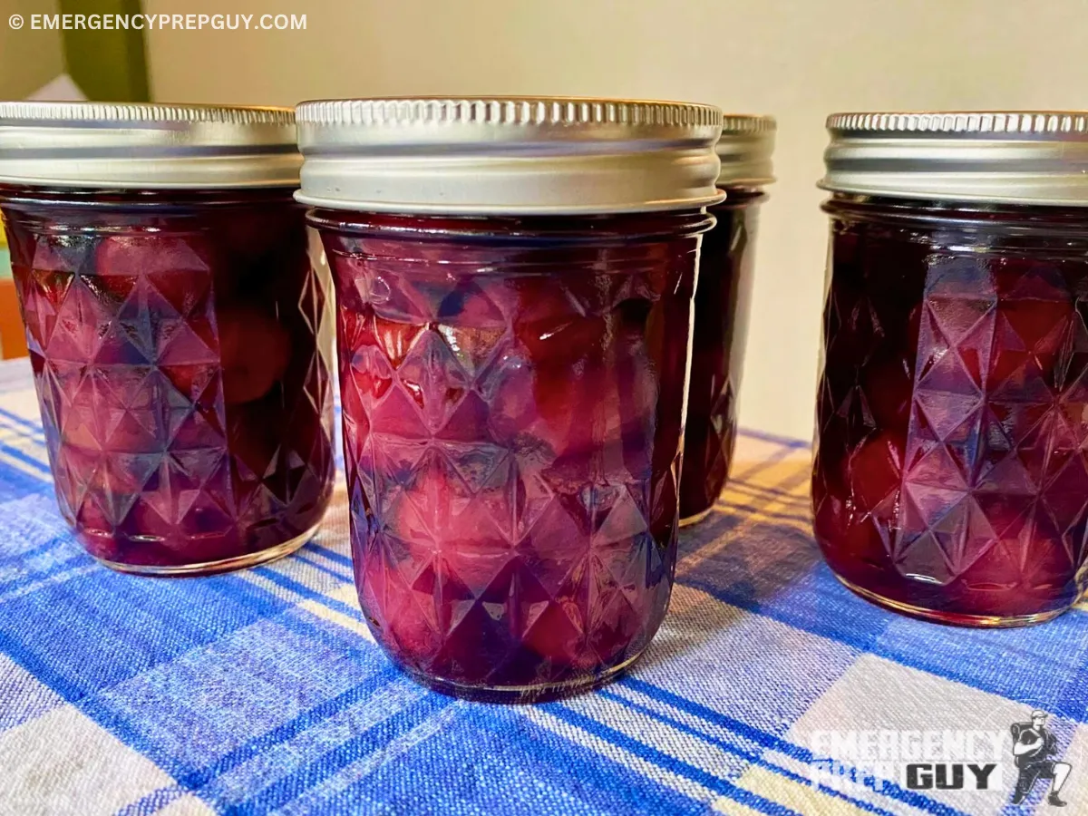 Yummy homemade freshly canned whole cherries
